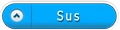 Buton sus